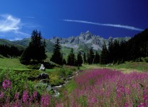 Best-of-photos-4